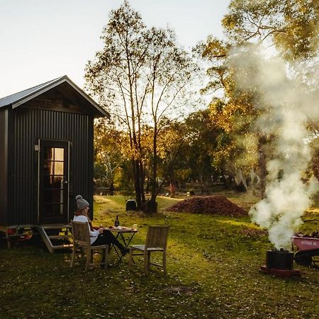 Ardingly Tiny House Villa Newham Eksteriør billede