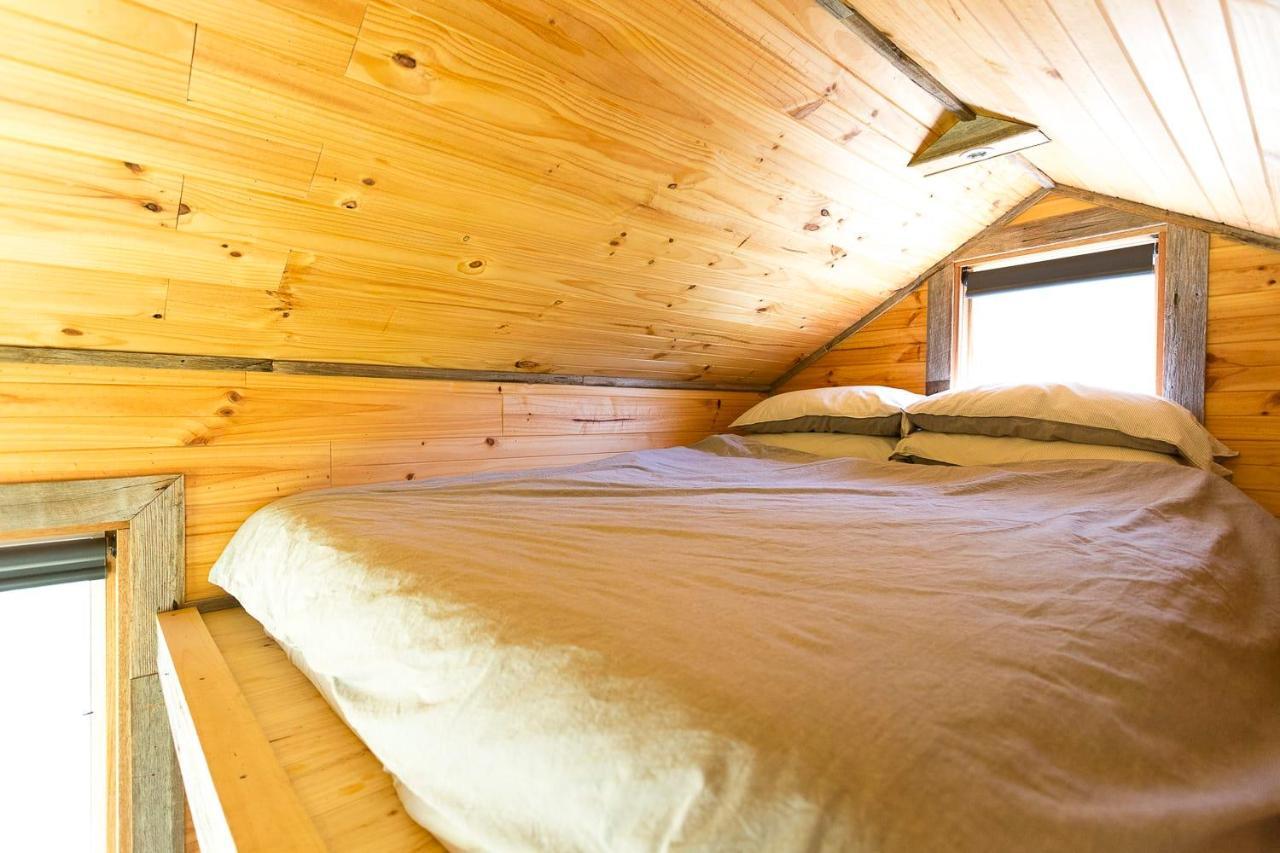 Ardingly Tiny House Villa Newham Eksteriør billede