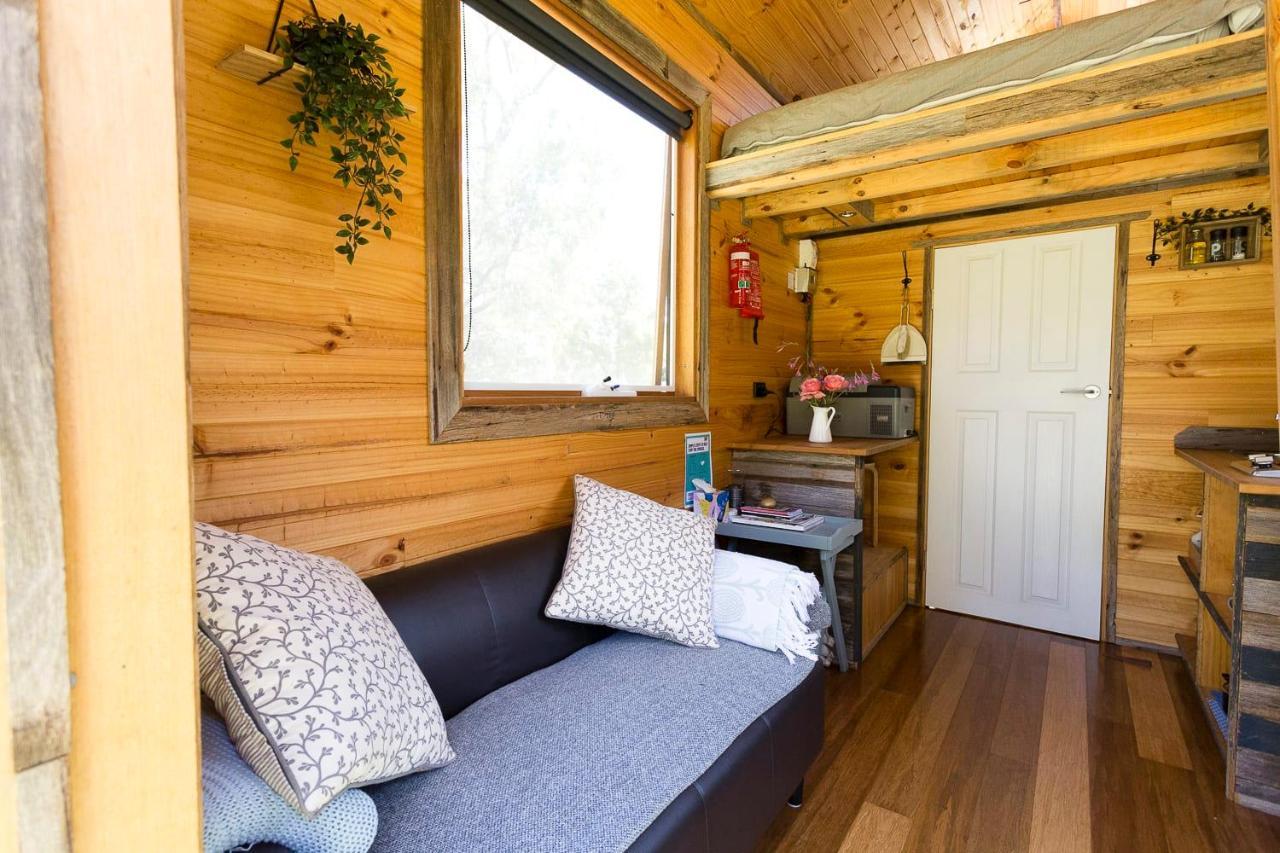 Ardingly Tiny House Villa Newham Eksteriør billede